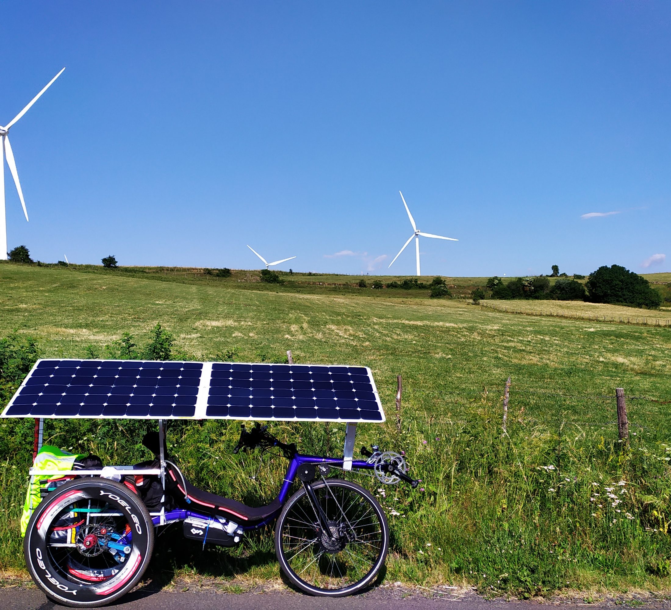 I don't need these wind mills...but they are beautiful!